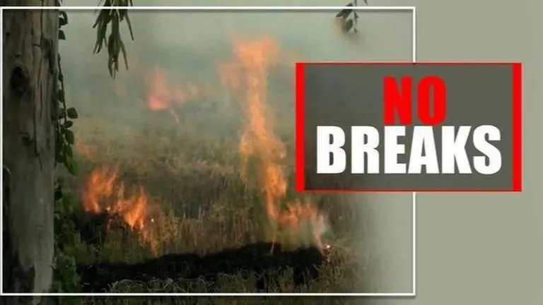 Punjab farmers continue stubble burning as capital Delhi chokes Punjab