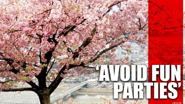 Tokyo Governor urges citizens to avoid gatherings during cherry blossom season Tokyo
