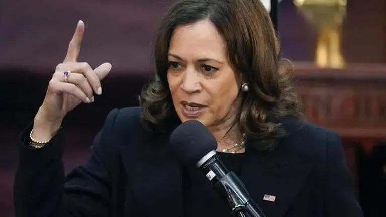 US VP Kamala Harris tells mayors: Time for unity, tough gun laws Kamala Harris