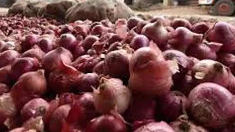 Smelly onions onboard possibly led to return of Sharjah flight to Kochi Smelly onions onboard possibly led to return of Sharjah flight to Kochi