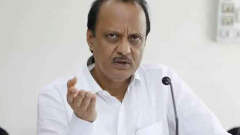 BJP throws weight behind Ajit Pawar; slams NCP's internal removal from party post Ajit Pawar