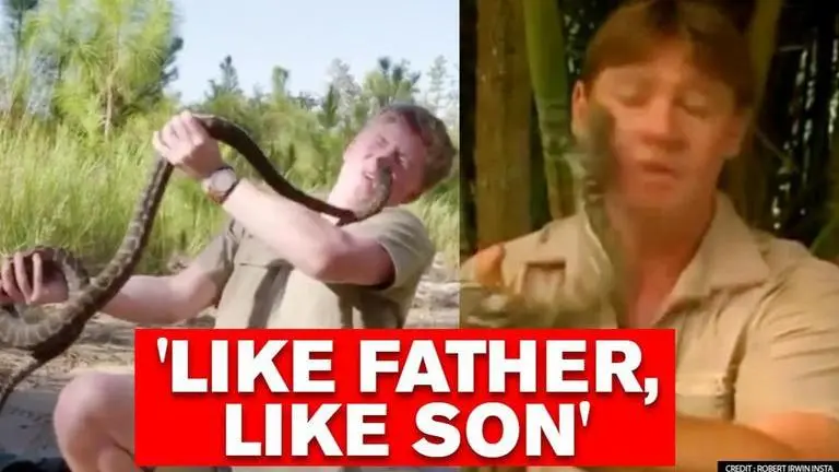 Robert Irwin shares video of him being bitten by snake, reveals same happened with dad Robert Irwin