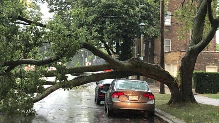 Powerful derecho leaves path of devastation across Midwest | Republic World