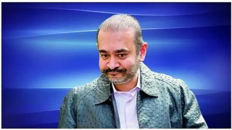 PNB scam: Proclamation order issued against Nirav Modi, 2 others PNB