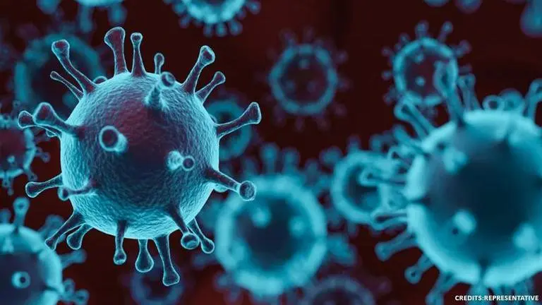 Immunity against COVID-19 may last for several months: Study