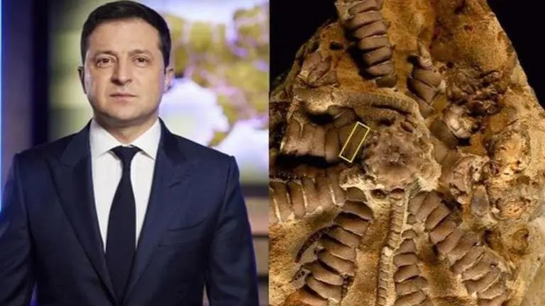 Zelenskyy honoured by Polish paleontologists as ancient fossil creature named after him Russia Ukraine war