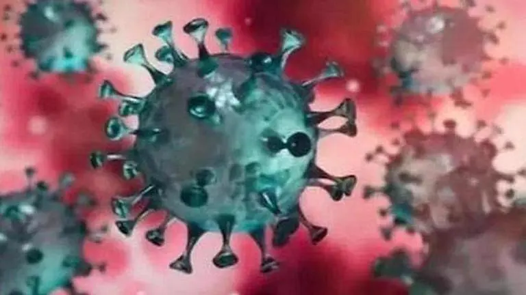Coronavirus: samples of 31 persons test negative in Chhattisgarh
