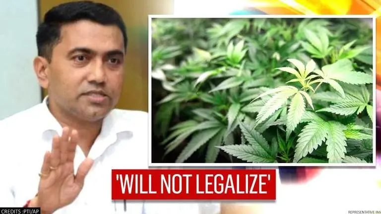 Goa CM reiterates his govt won't go ahead with cannabis proposal; argues on both sides Goa