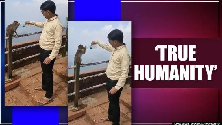 Video: Man helps monkey drink water from bottle, netizens laud his 'kindness' Man