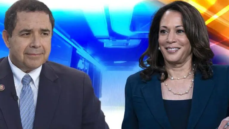 Texas Democrat urges White House to replace Vice Prez Kamala Harris as 'border czar' Texas