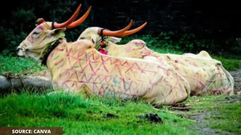 Bail Pola quotes in Marathi to share on WhatsApp with your friends and family Bail pola quotes in marathi