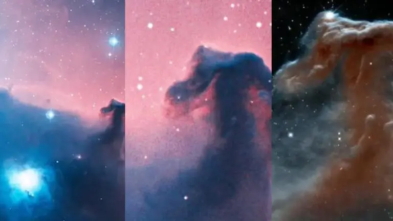 NASA shares 1,500 light-years away Horsehead Nebula’s photo from Orion constellation Horsehead nebula