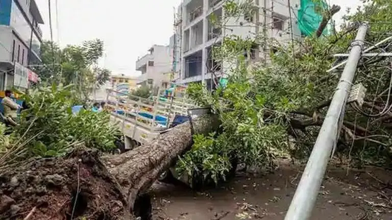 Calcutta HC orders CAG audit of Amphan relief amid allegations of irregularities