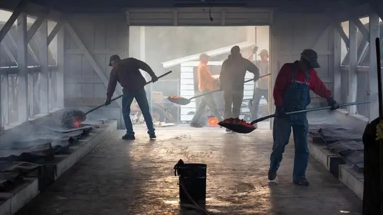 Central Coalfields Limited