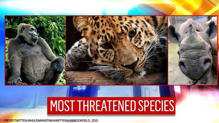 World Wildlife Day 2021