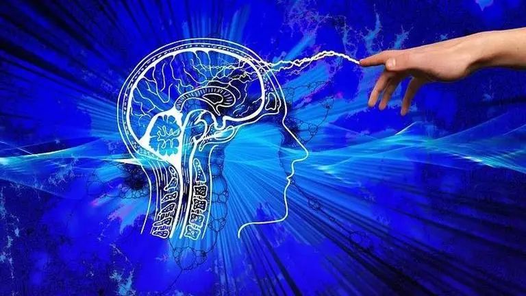 Study shows false memories in human brains can be erased just as easily created