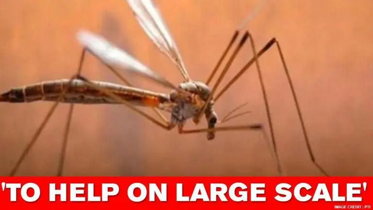 Researchers find new approach to control Dengue, Zika by genetically modifying mosquitoes Researchers