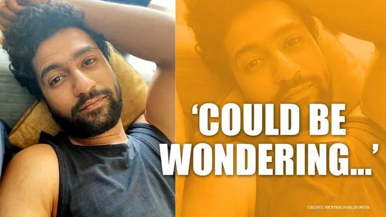 Who is the 'beauty chilling right outside' Vicky Kaushal's window? Actor shares picture Vicky Kaushal