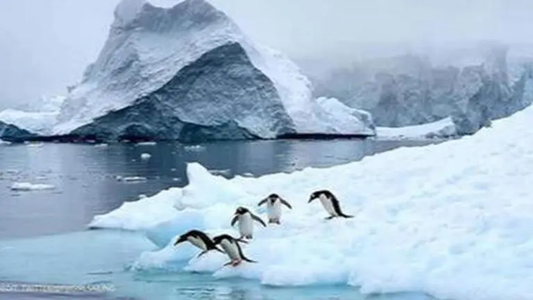 Antarctic ice sheets melted 50 times faster than the present speed during end of ice age Antarctic ice sheets have ability to melt much faster