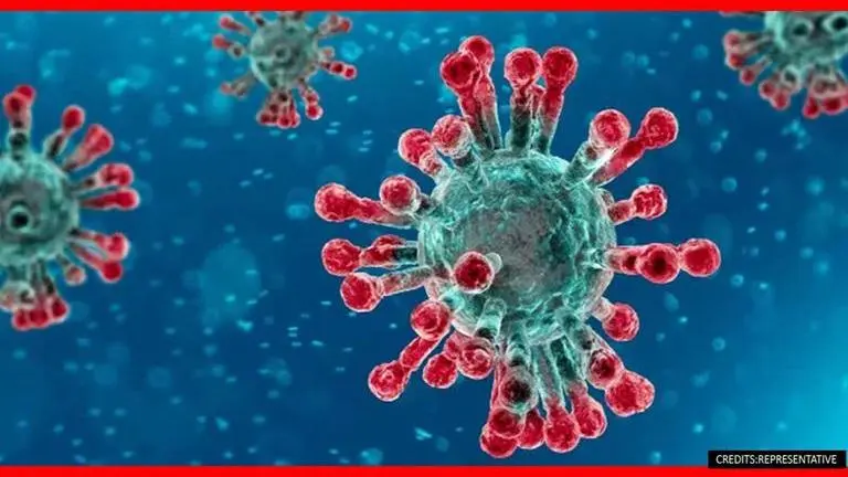 COVID-19 risk in airplanes, restaurants, grocery stores cannot be easily compared: Scientists