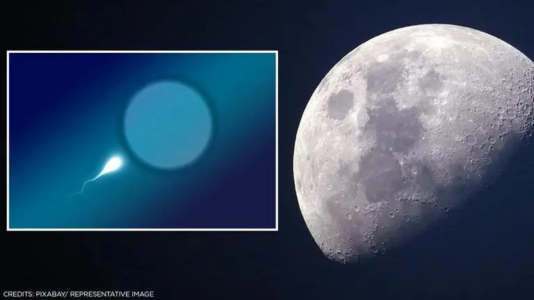 Scientists propose to store sperms, seeds on moon amid increasing threat of catastrophe