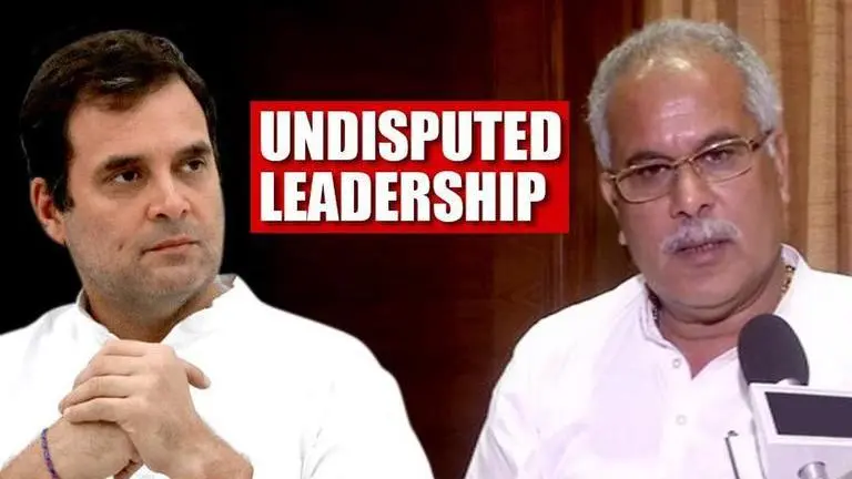 'Leadership undisputed, hope Rahul Gandhi is President again': Baghel Rahul Gandhi
