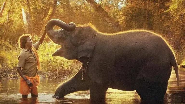 The Elephant Whisperers bags Oscar for Best Documentary Short Film The Elephant Whisperers