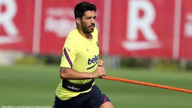 Luis Suarez's Italian exam being investigated for being a 'scam', striker knew answers luis suarez