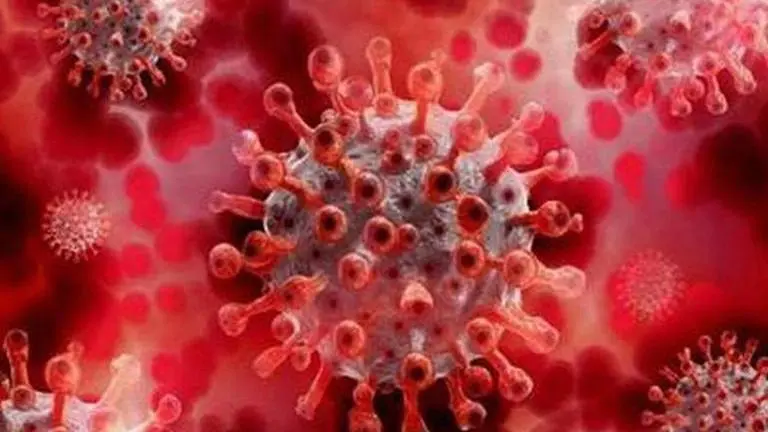 Tamil Nadu records 2,608 new COVID-19 cases