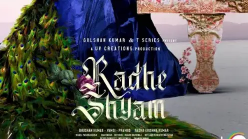 Description of the pic