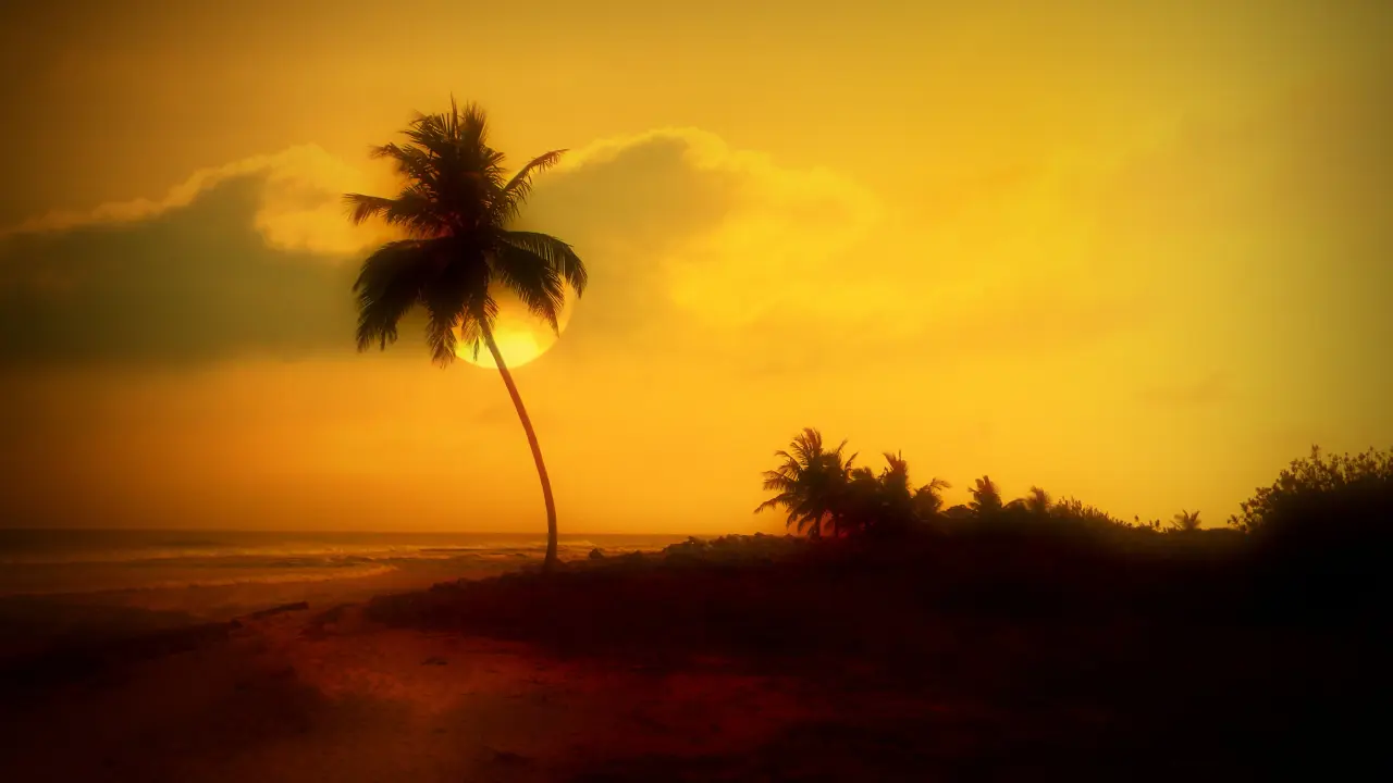 Explore Lakshadweep: Step-by-step guide to obtain the permit