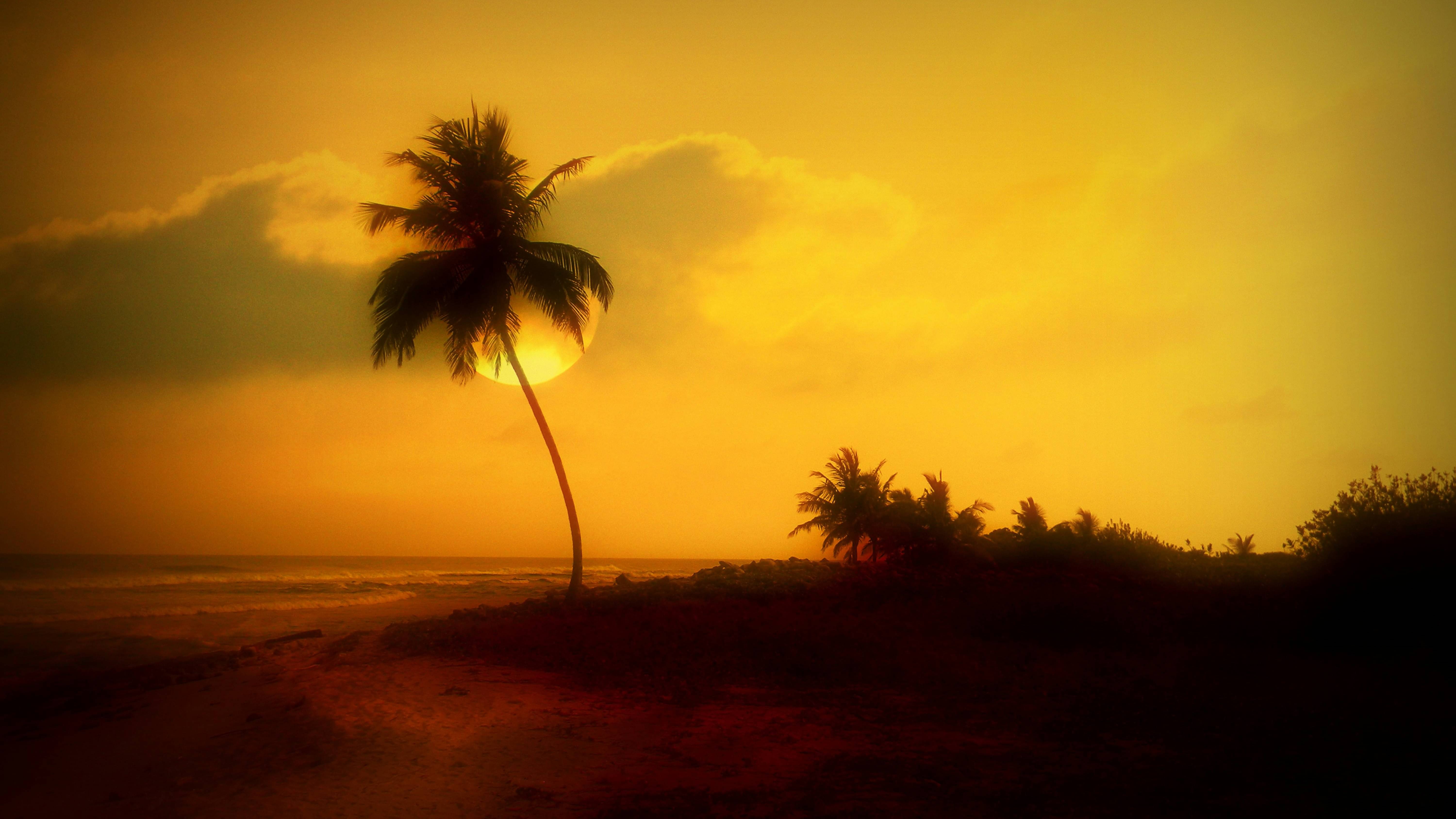 Description of the pic