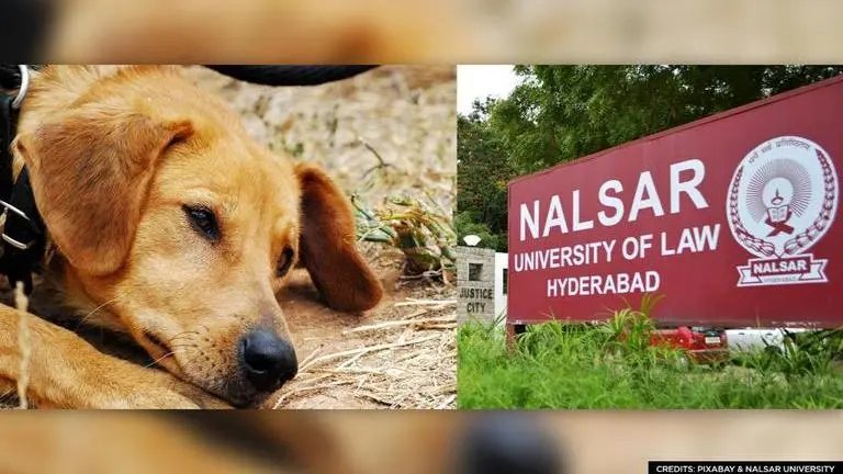 NALSAR University of Law announces India’s first master’s course in animal law Master's degree in animal law