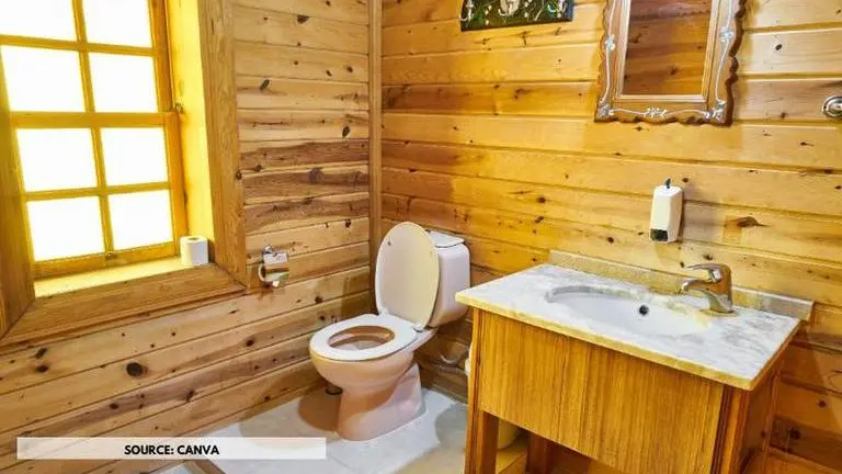 World Toilet Day 2020: Know about its theme, history, and significance world toilet day 2020