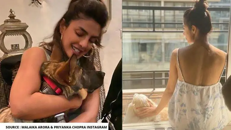 Malaika Arora and other celebs spend time with pets during social distancing Malaika Arora