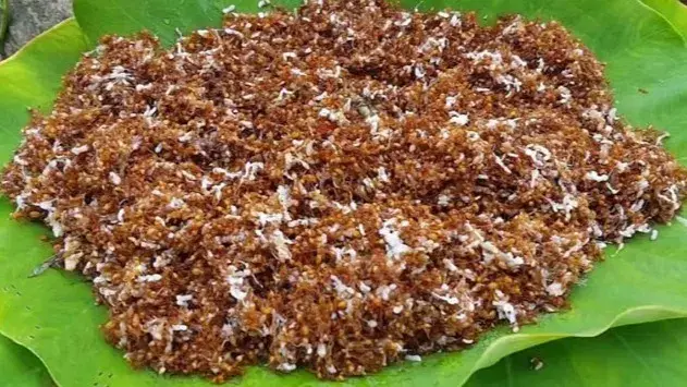 Red ant chutney gets GI tag.