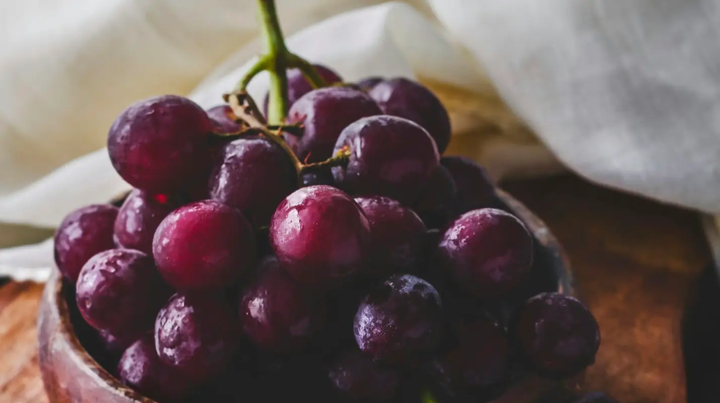 Red Grapes Why Is This Variety Of Grape Better Than Others Republic