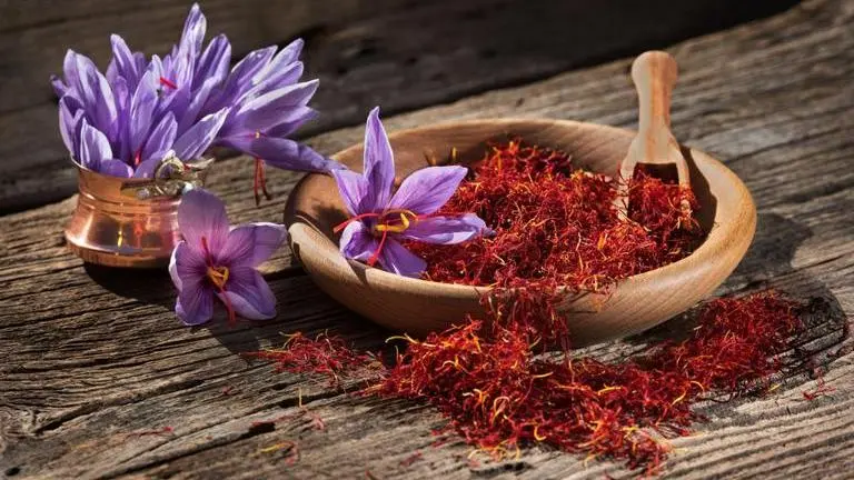 Discover health benefits of saffron: Nutrient powerhouse, rich in antioxidants Saffron