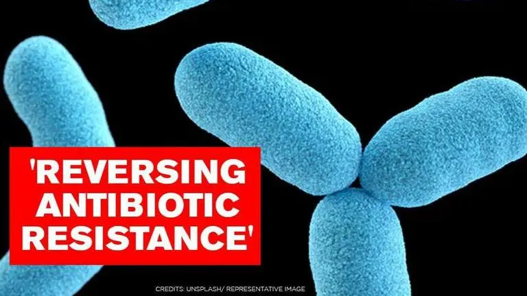 Researchers discover way to reverse drug resistance in bacteria