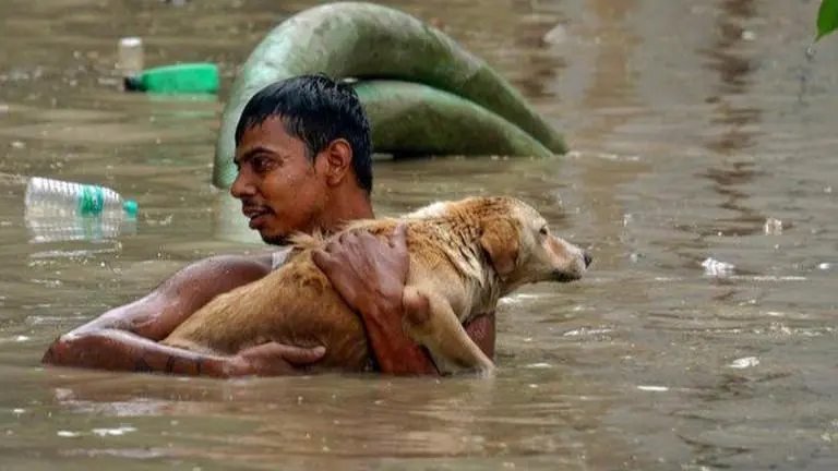 Amid floods, Andhra Pradesh police help reunite stranded puppies with its mother dog Floods