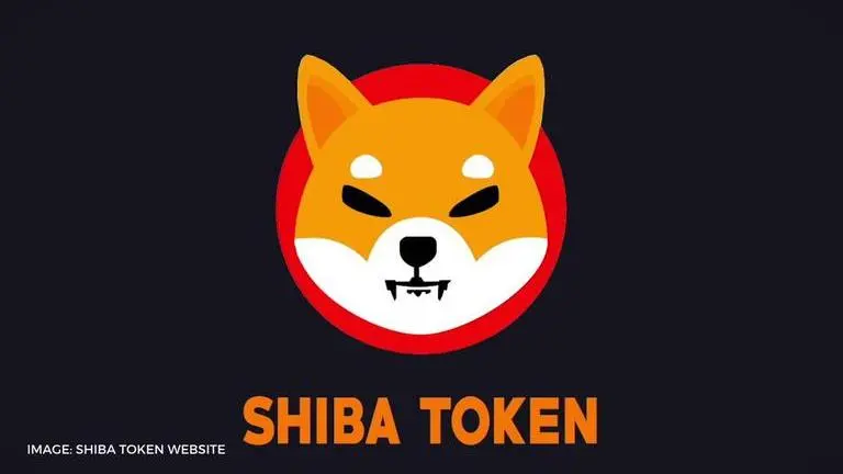 shiba inu coin