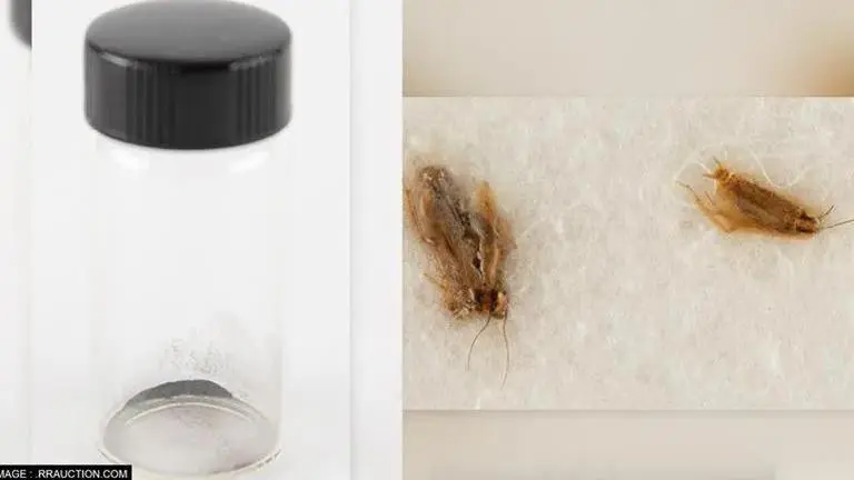 NASA asserts ownership of Moon dust & dead cockroaches; demands halt of their sale NASA