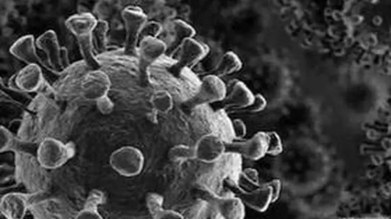 Bihar: 3 more test positive for COVID-19, total cases reach 96