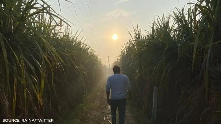 Suresh Raina enjoying extended vacation in village? Batsman's dreamy post wins fans over Suresh Raina