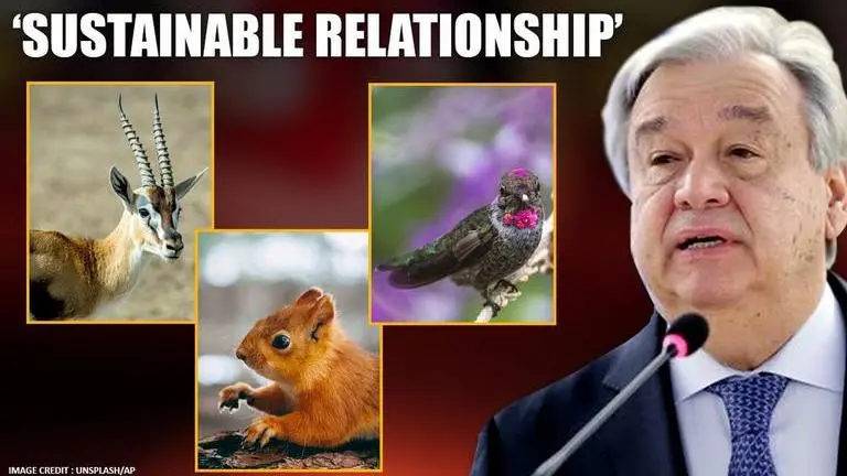World Wildlife Day 2020: UN chief calls for 'more caring' relationship with nature World Wildlife Day 2020