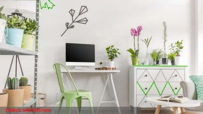 Home decor ideas that will help to keep your living space eco-friendly Home decor