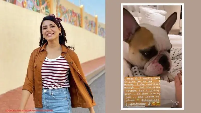 Samantha Akkineni shares adorable video while conversing with her dog Hash; watch Samantha Akkineni