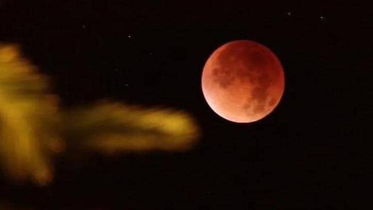 Last total lunar eclipse for three years arrives Tuesday | Republic World