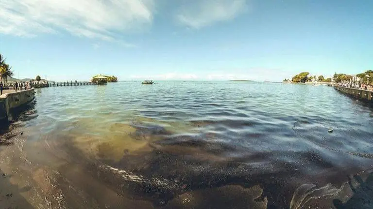 Greenpeace on Mauritius oil spill from grounded ship