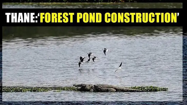 Maharashtra: 5,000 forest ponds to be set up in Thane in 3 months Maharashtra